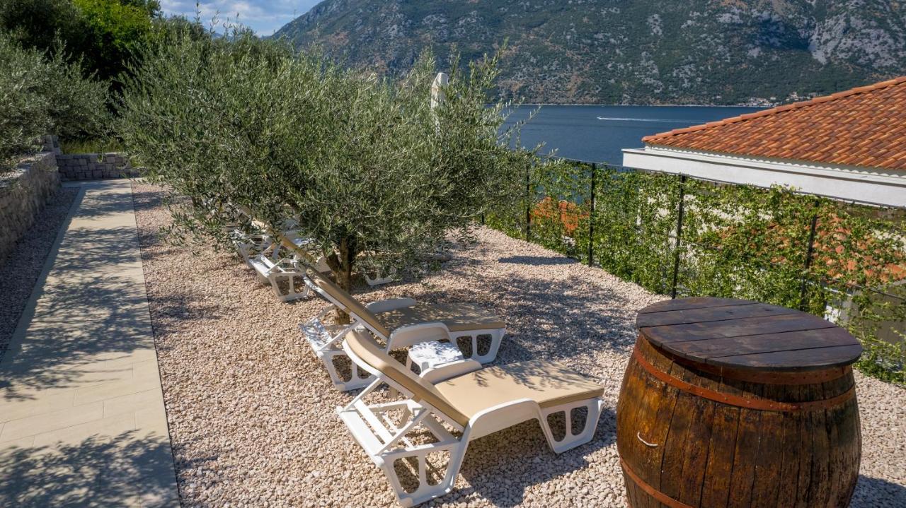Stoliva Residence With Infinity Pool Kotor Ngoại thất bức ảnh
